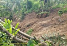 Polemik Pembuangan Limbah Tanah Proyek JLS Di Desa Ngrejo, Warga Terdampak Menanti Tanggung Jawab