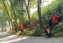 Peduli Lingkungan, PSHT Ranting Pucanglaban Bersihkan Semak Di Sepanjang Jalan Lok 9