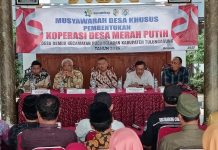 Koperasi 