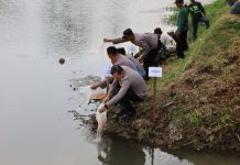 Kapolres Tulungagung Tebar 5.000 Benih Ikan Tombro Di Sungai Ngrowo, Wujud Nyata Kepedulian Terhadap Ekosistem