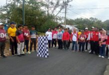 Jalan Sehat 4 Kilometer Meriahkan Penutupan PHBN HUT RI Ke-81 Di Pagerwojo