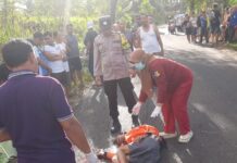 Pengendara Motor Meninggal Dunia Dalam Kecelakaan Di Jalan Raya Mulyosari Pagerwojo