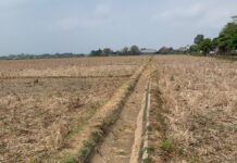 Petani Tiga Desa Di Tulungagung Harapkan Dukungan Gubernur Untuk Pengairan 148 Hektare Lahan Pertanian
