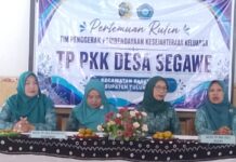 TP PKK Pagerwojo Perkuat Peran Kader Dan Keluarga Melalui Parenting